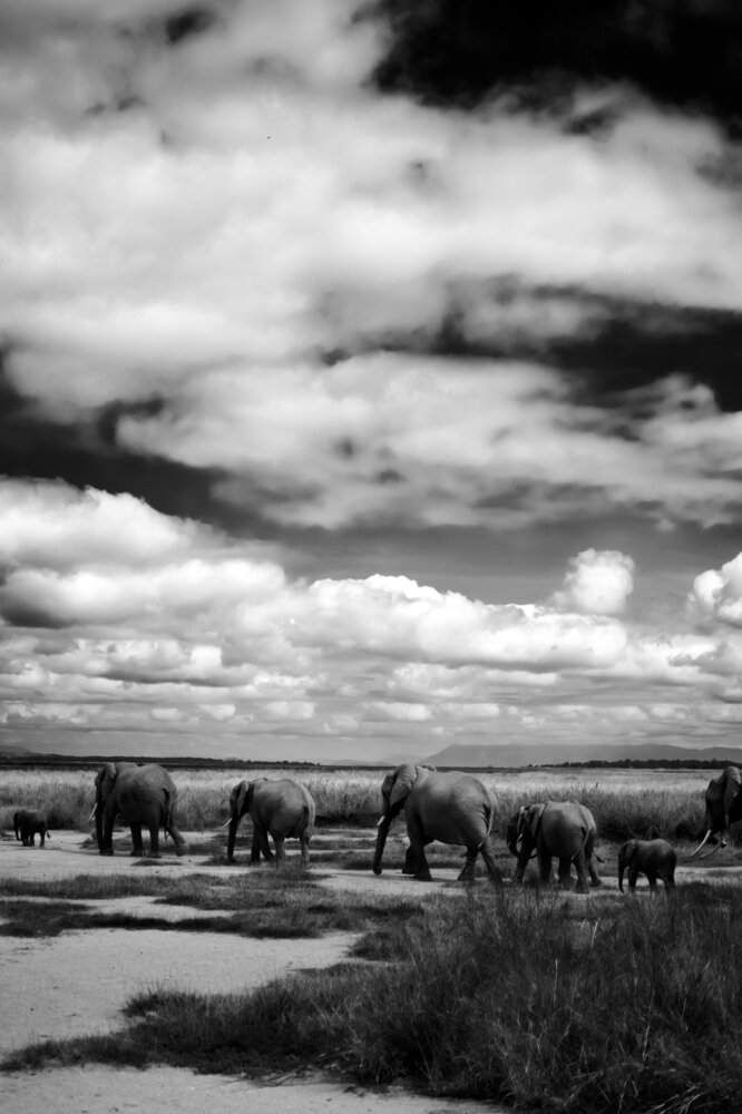 Photograph by Evgeniia Zorina