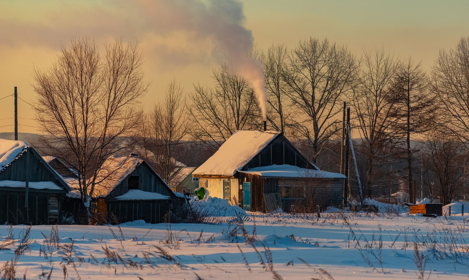 Photo #13895699
