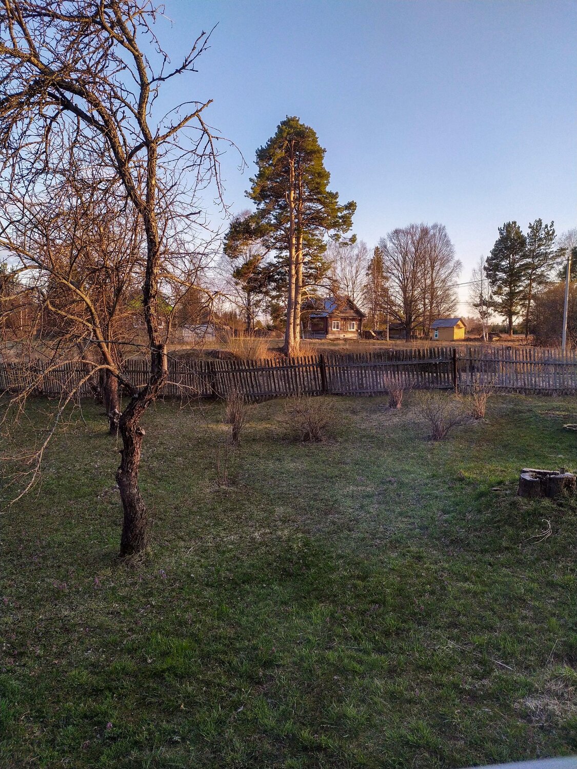 Photo #13895715