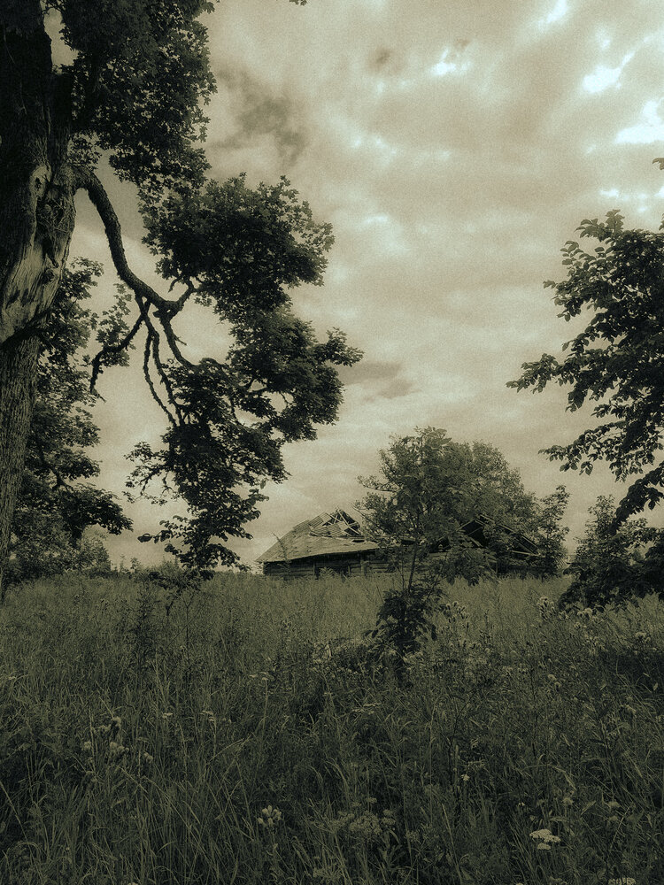 Photograph by Екатерина Народицкая