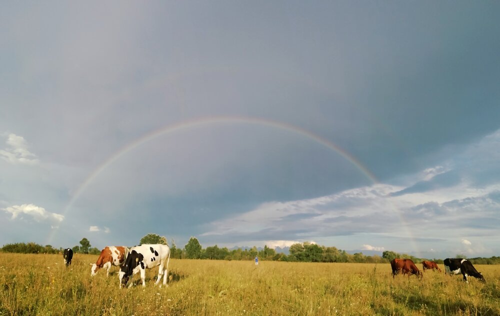 Photograph by Людмила