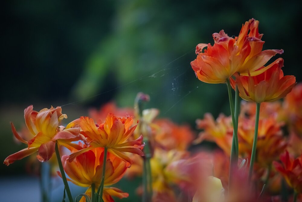 Photograph by Очева Наталья Александровна