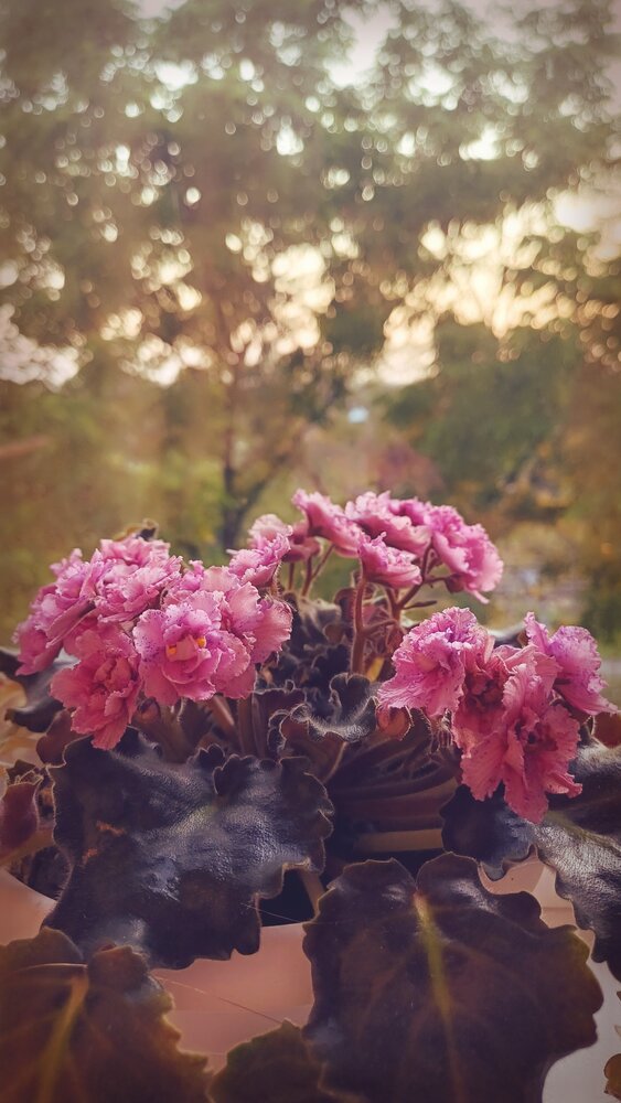 Photograph by Людмила