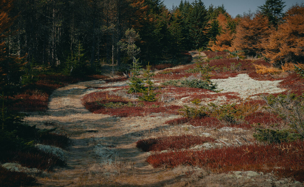 Photo #13895833