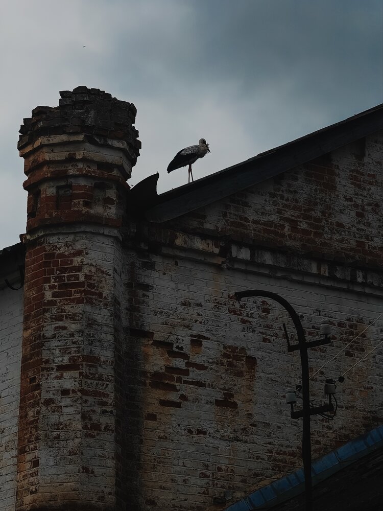 Photograph by Maria Stankevich