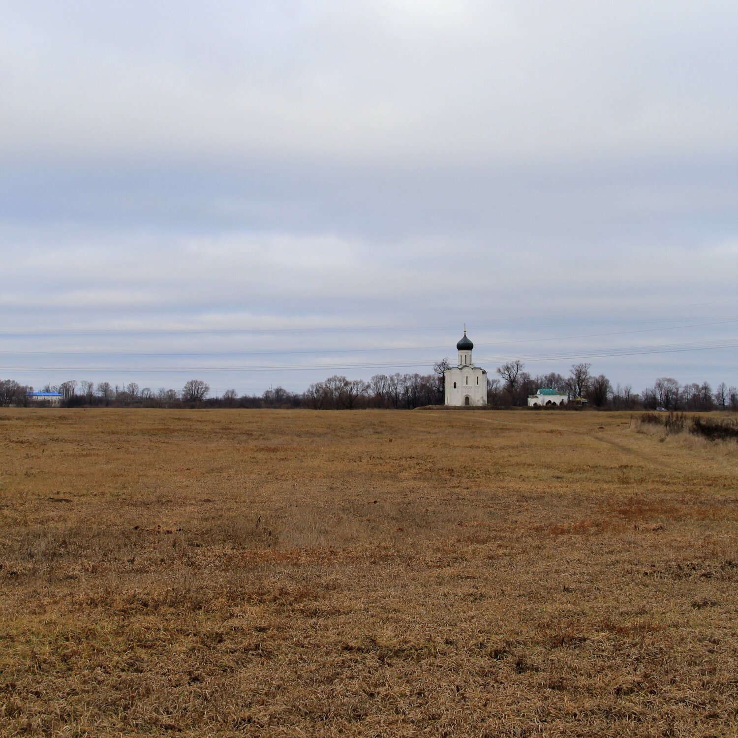 Photo #13895876