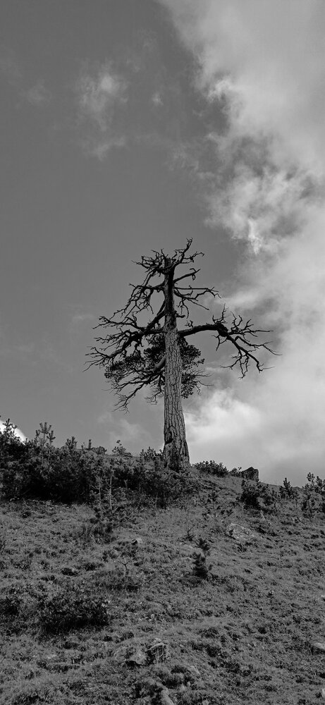 Photograph by Людмила