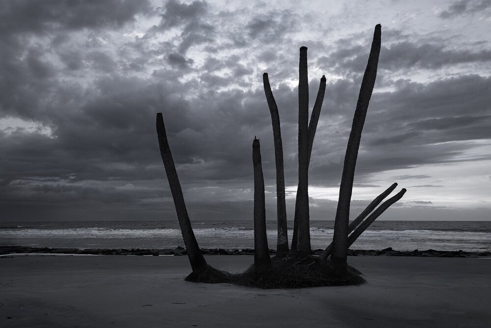 Photograph by Janie Robison