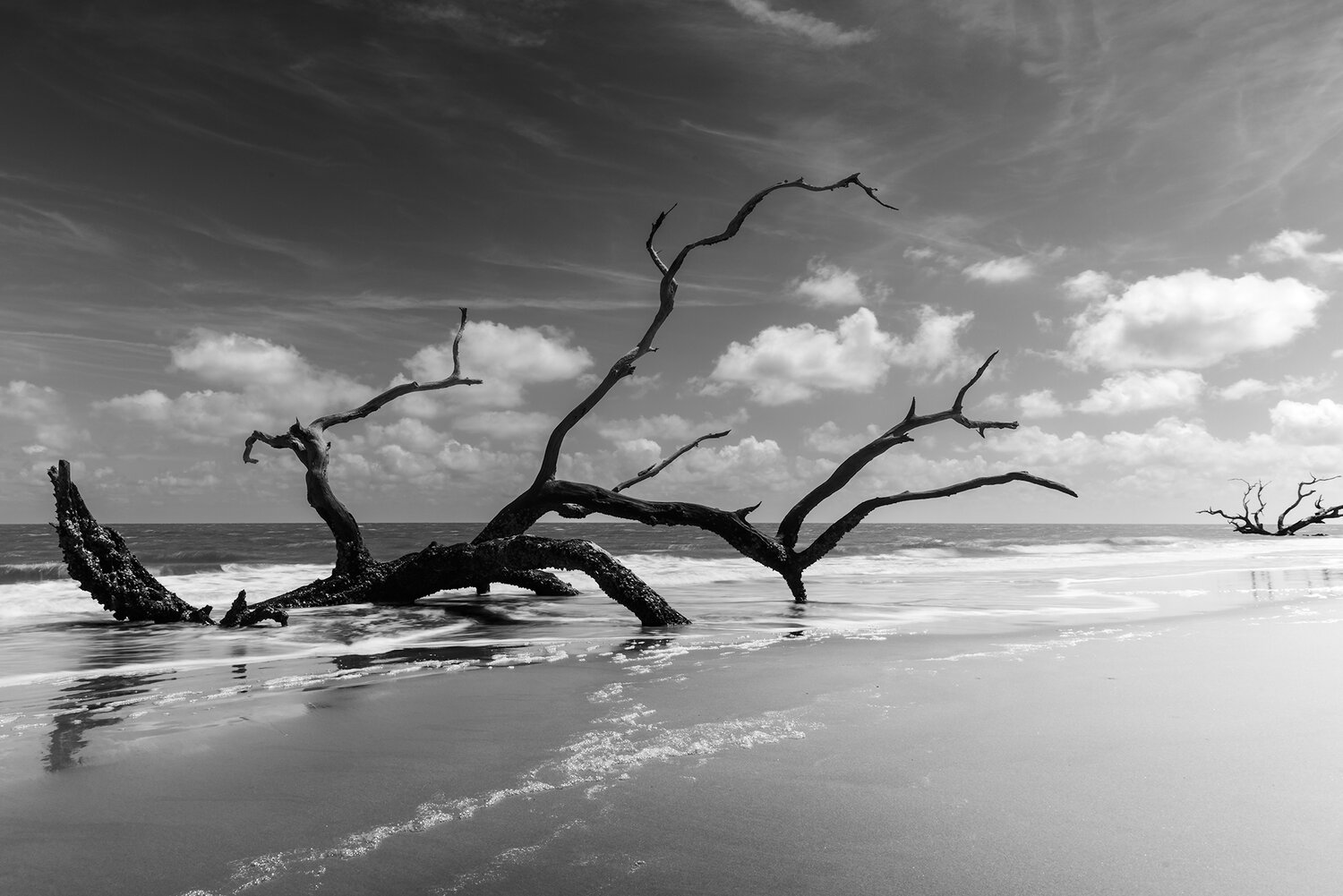 Ghosts of the Shore