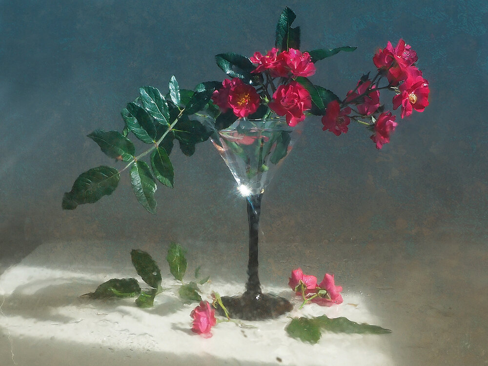Photograph by Елена Юдовина