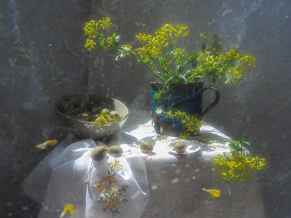 Photograph by Елена Юдовина