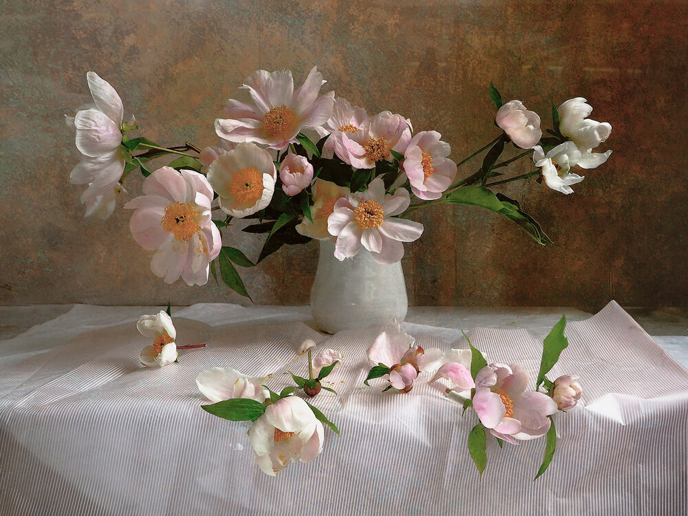 Photograph by Елена Юдовина