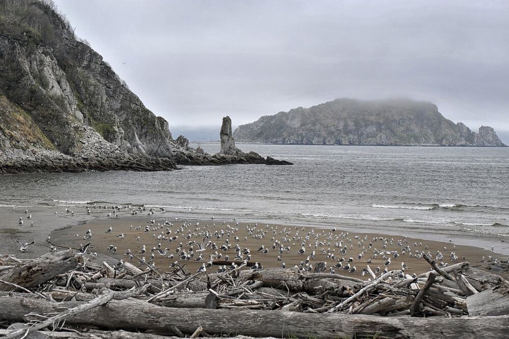 Photograph by Светлана Гореликова
