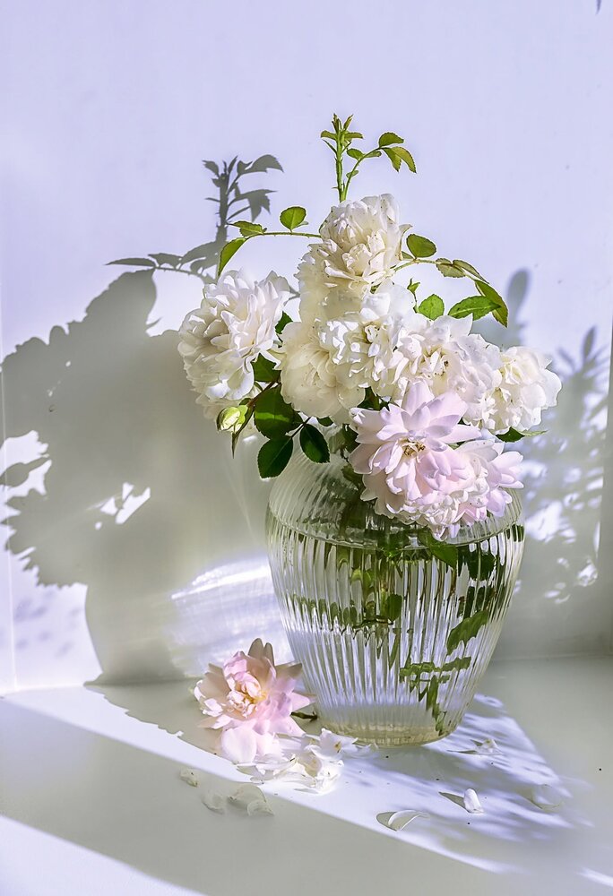 Photograph by марина леоненко