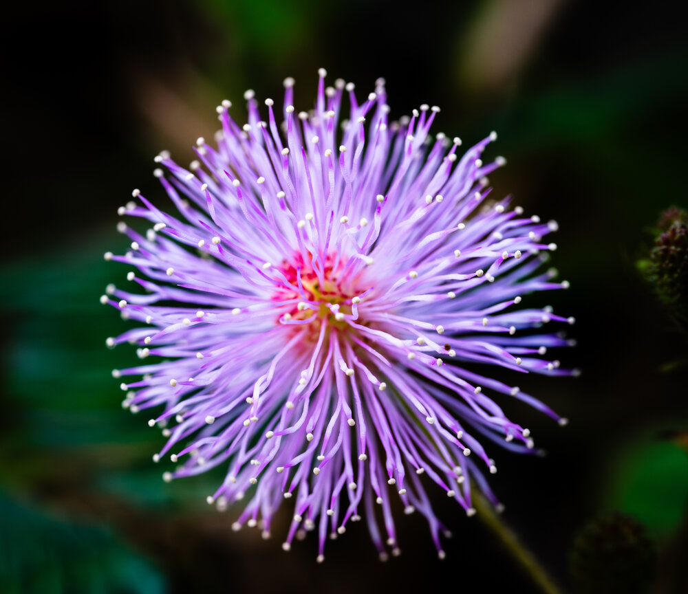 Photograph by VAN DO HOANG