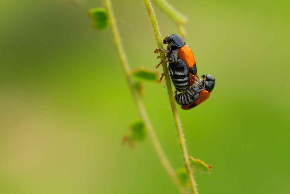 Photograph by Raghuvamsh Chavali