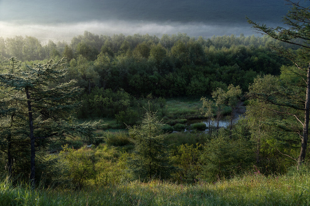 Photograph by Светлана Гореликова