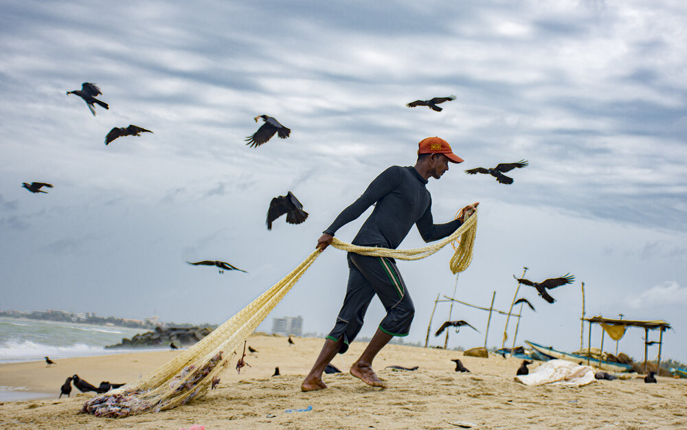 Photograph by Dananjaya Chathuranga