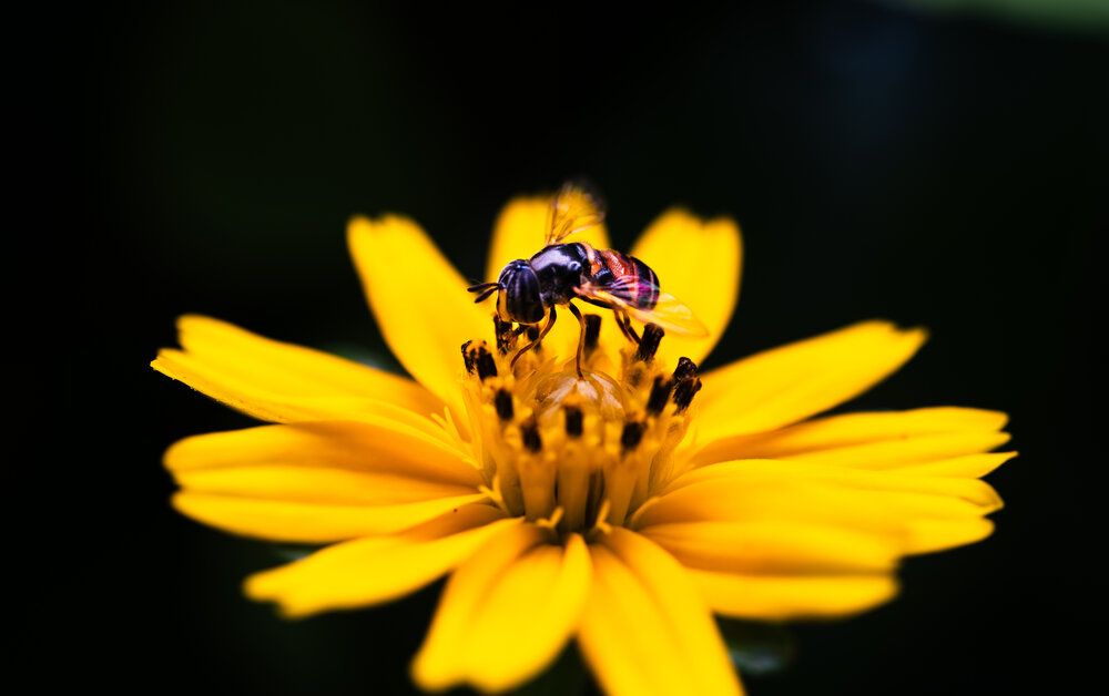 Photograph by VAN DO HOANG