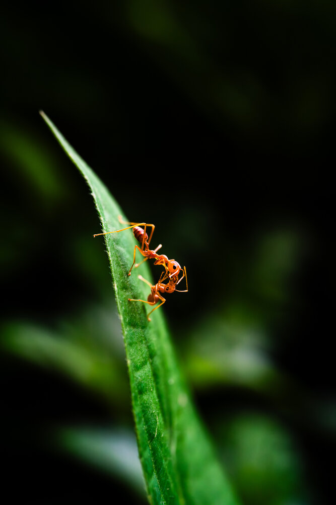 Photograph by VAN DO HOANG
