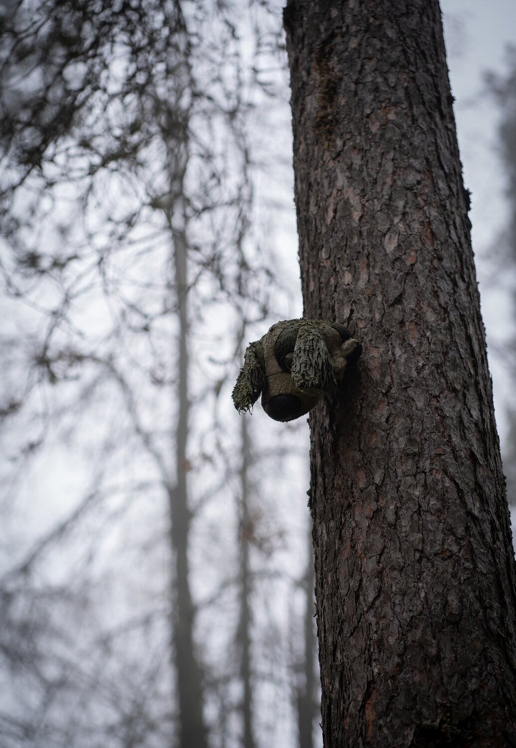 Photo #13896199