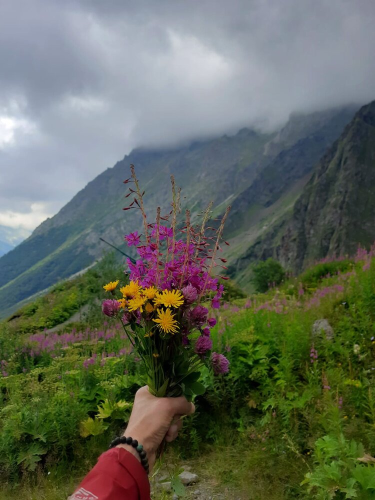Photograph by Alekseev Andrey