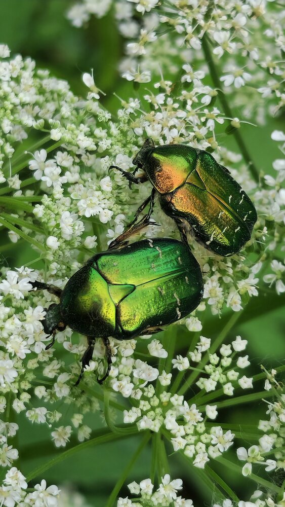 Photograph by Ольга Быстрова