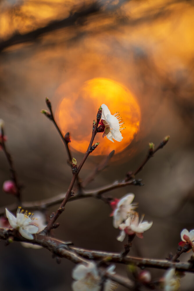 Photograph by Галина Григорьева