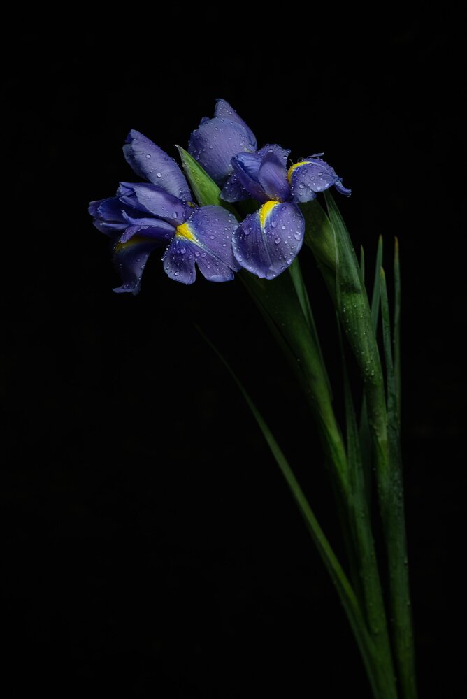 Photograph by Татьяна Журавлёва