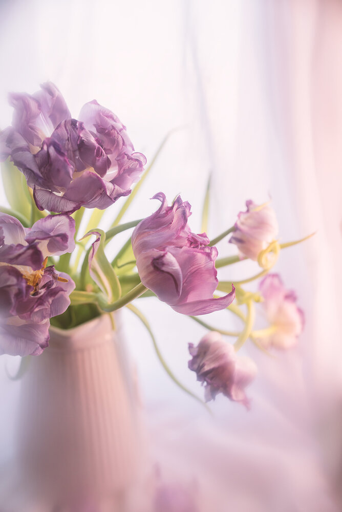 Photograph by Вика Фолина