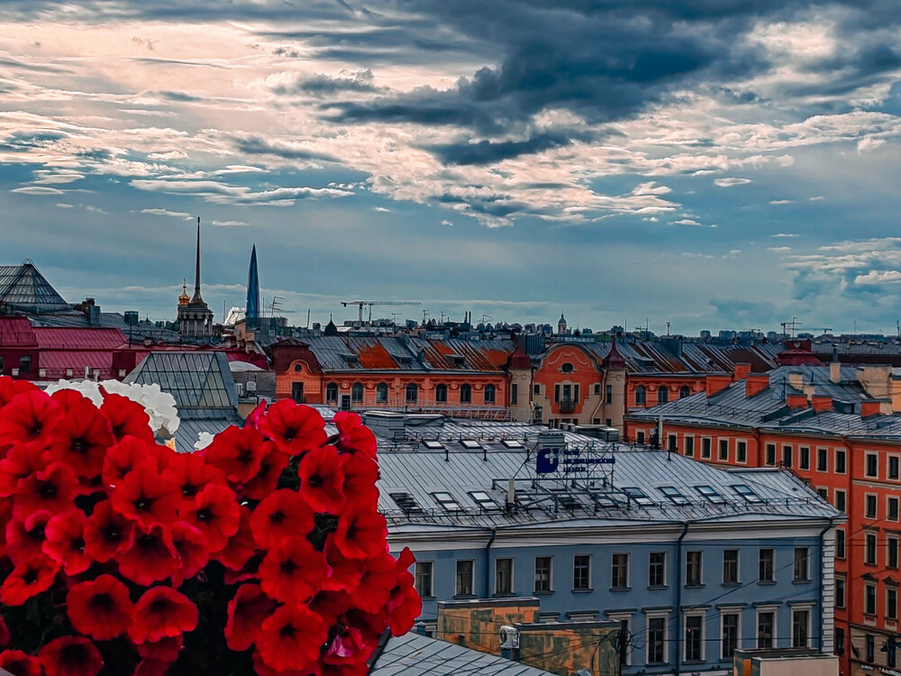 Photograph by Дайана