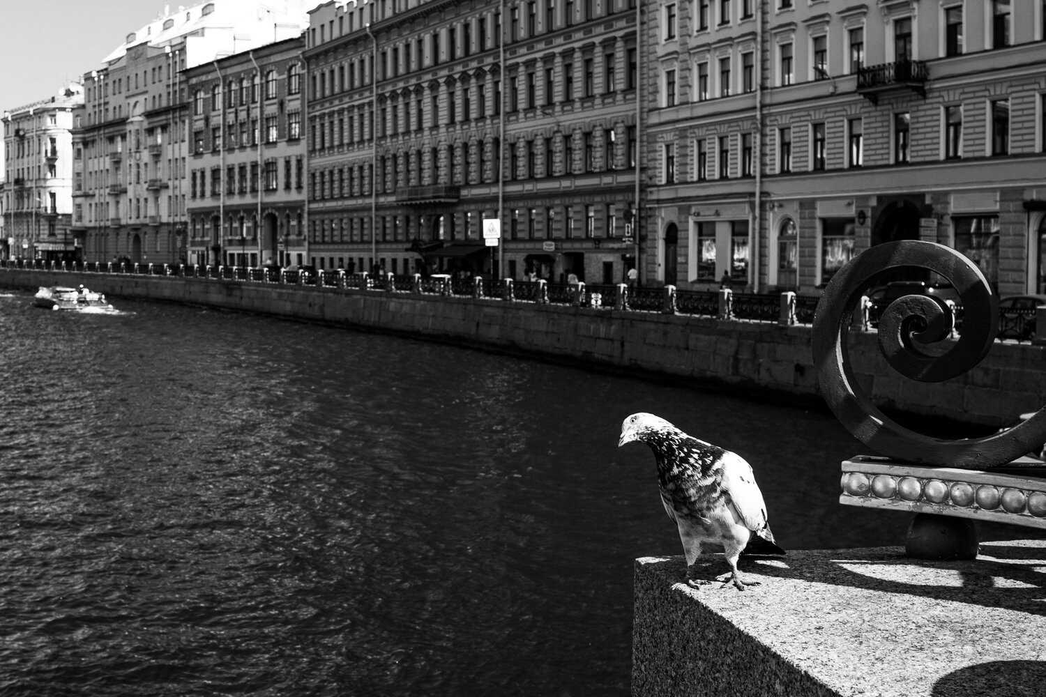Photo #13896379