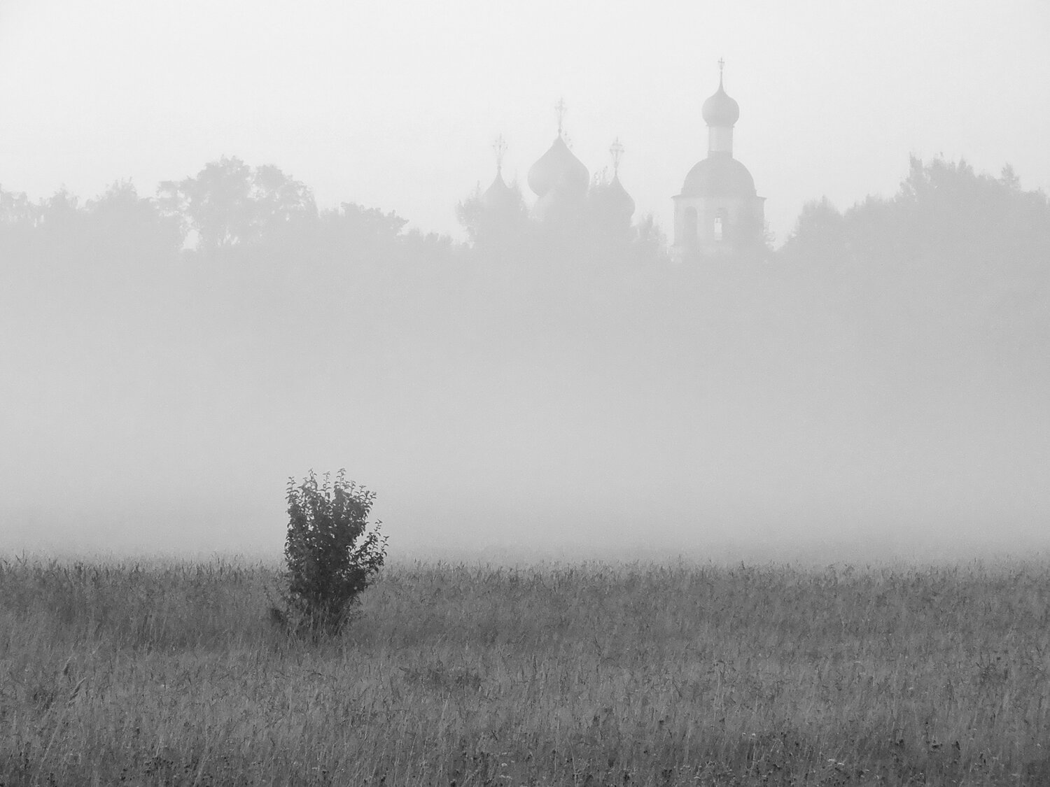 Photo #13896433