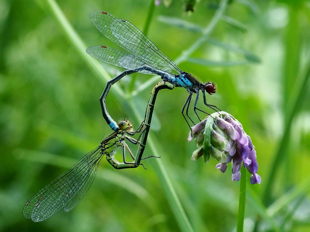 Photograph by Елена Харитонова