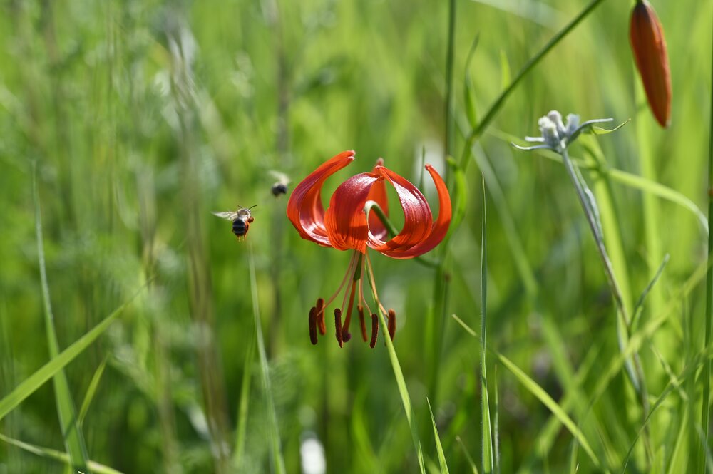 Photograph by Ольга Воронова