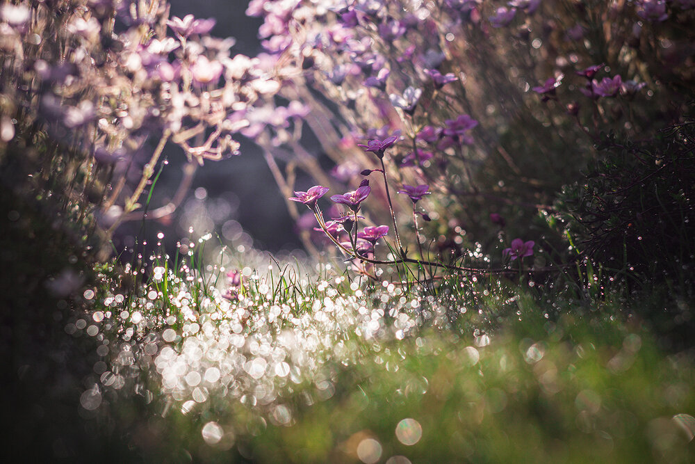 Photograph by Волкова Анна