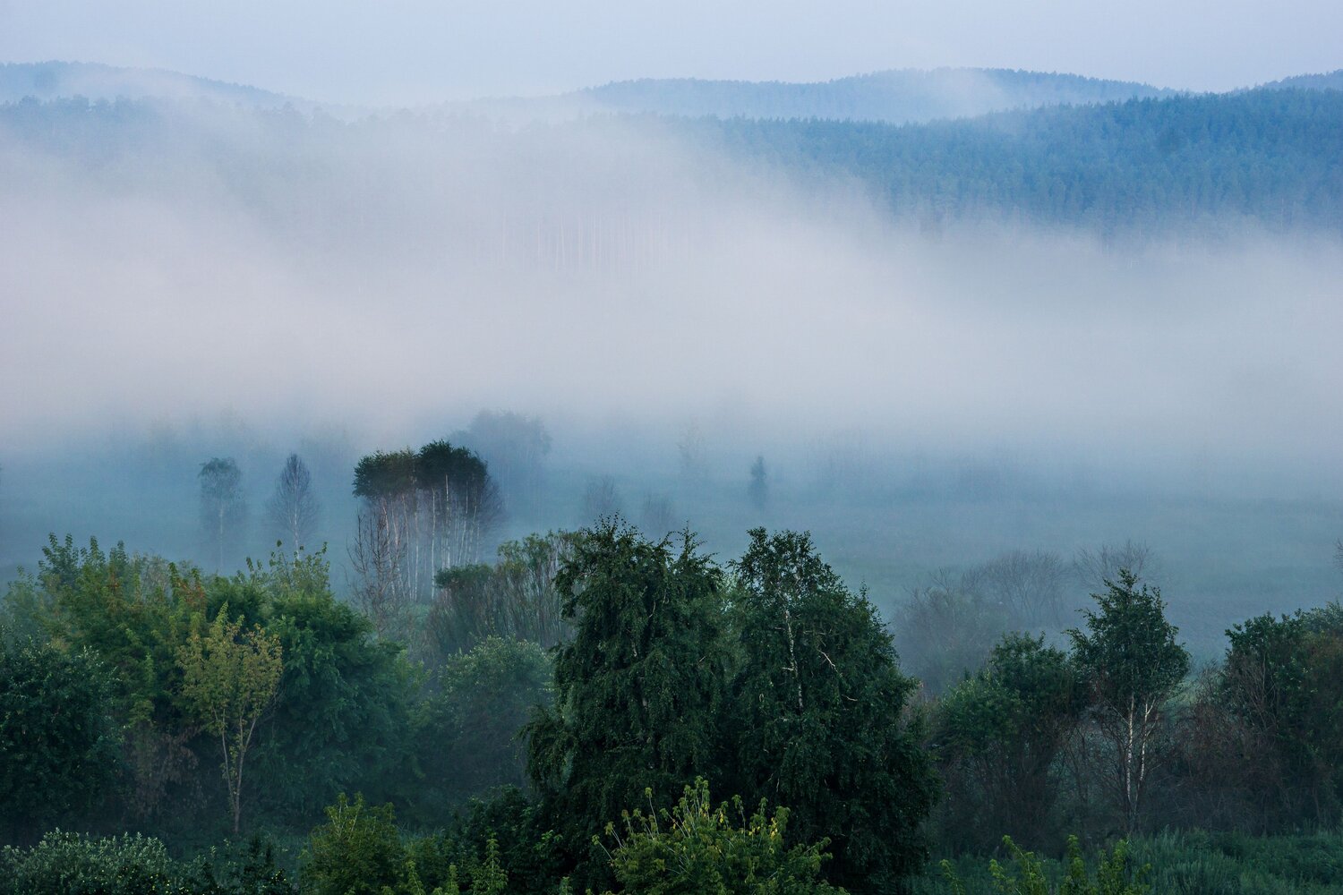 Photo #13896481