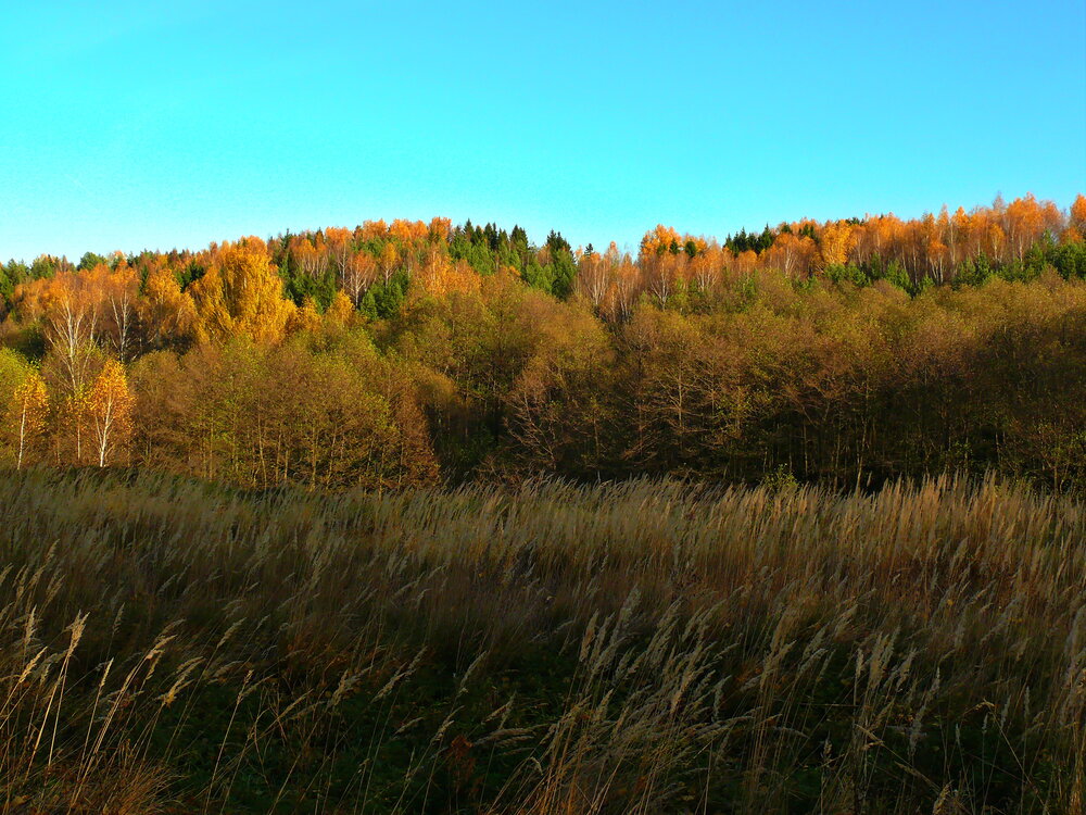 Photograph by Анатолий Борисов