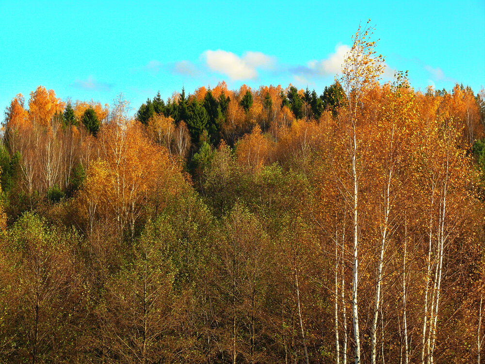 Photograph by Анатолий Борисов