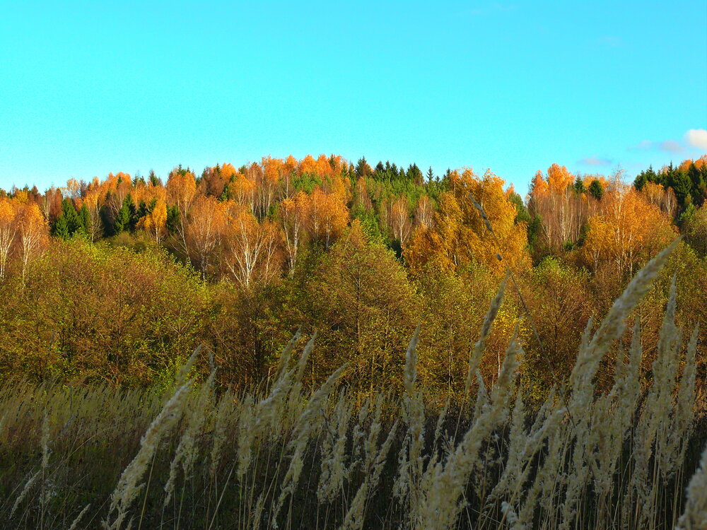 Photograph by Анатолий Борисов