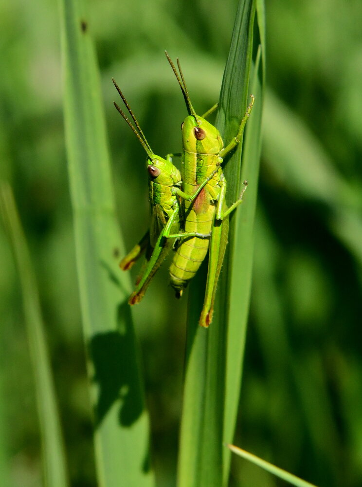 Photograph by Алексей Volg