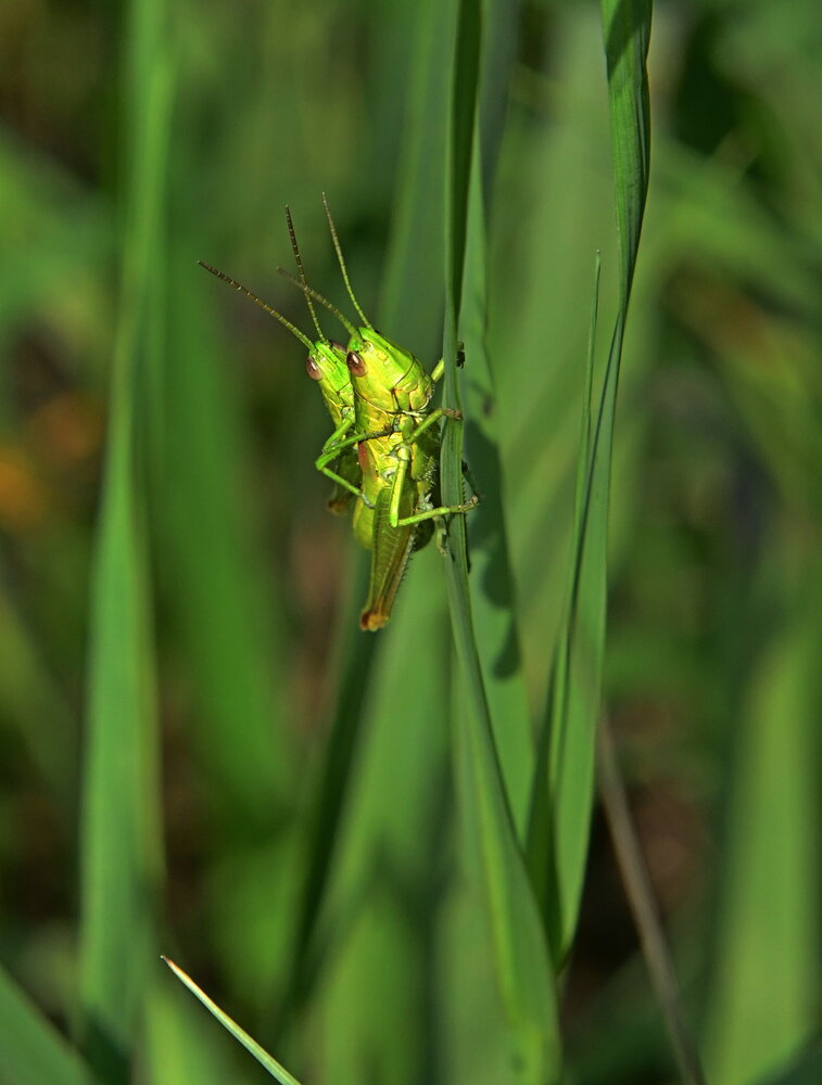 Photograph by Алексей Volg