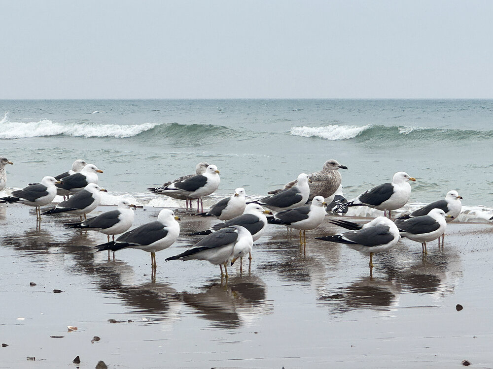 Photograph by Татьяна Безгачёва