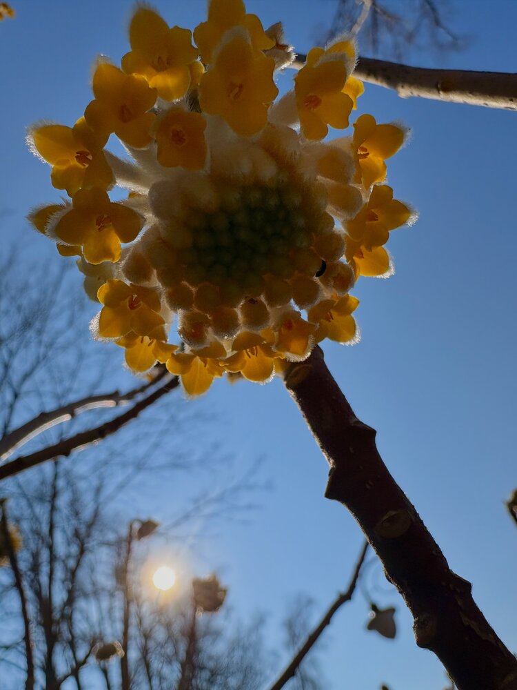Photograph by Ашхеник Азарян