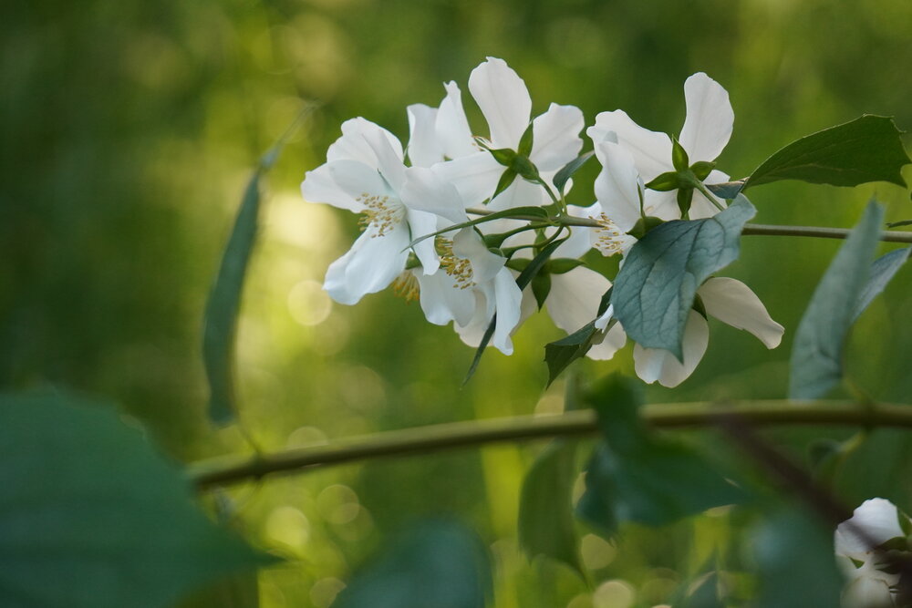 Photograph by Наталья Колбина