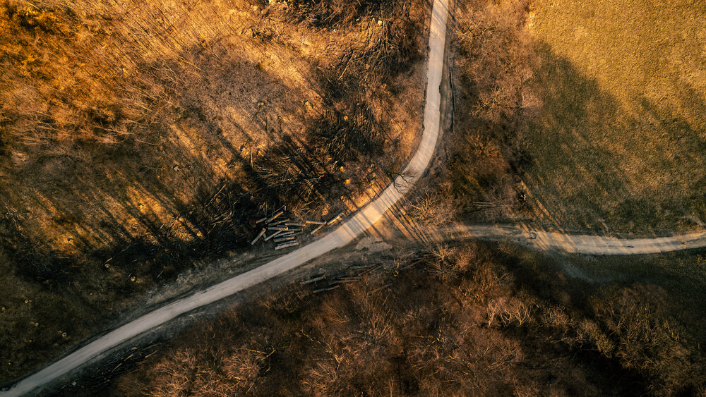 Photograph by Gregor Kobilica