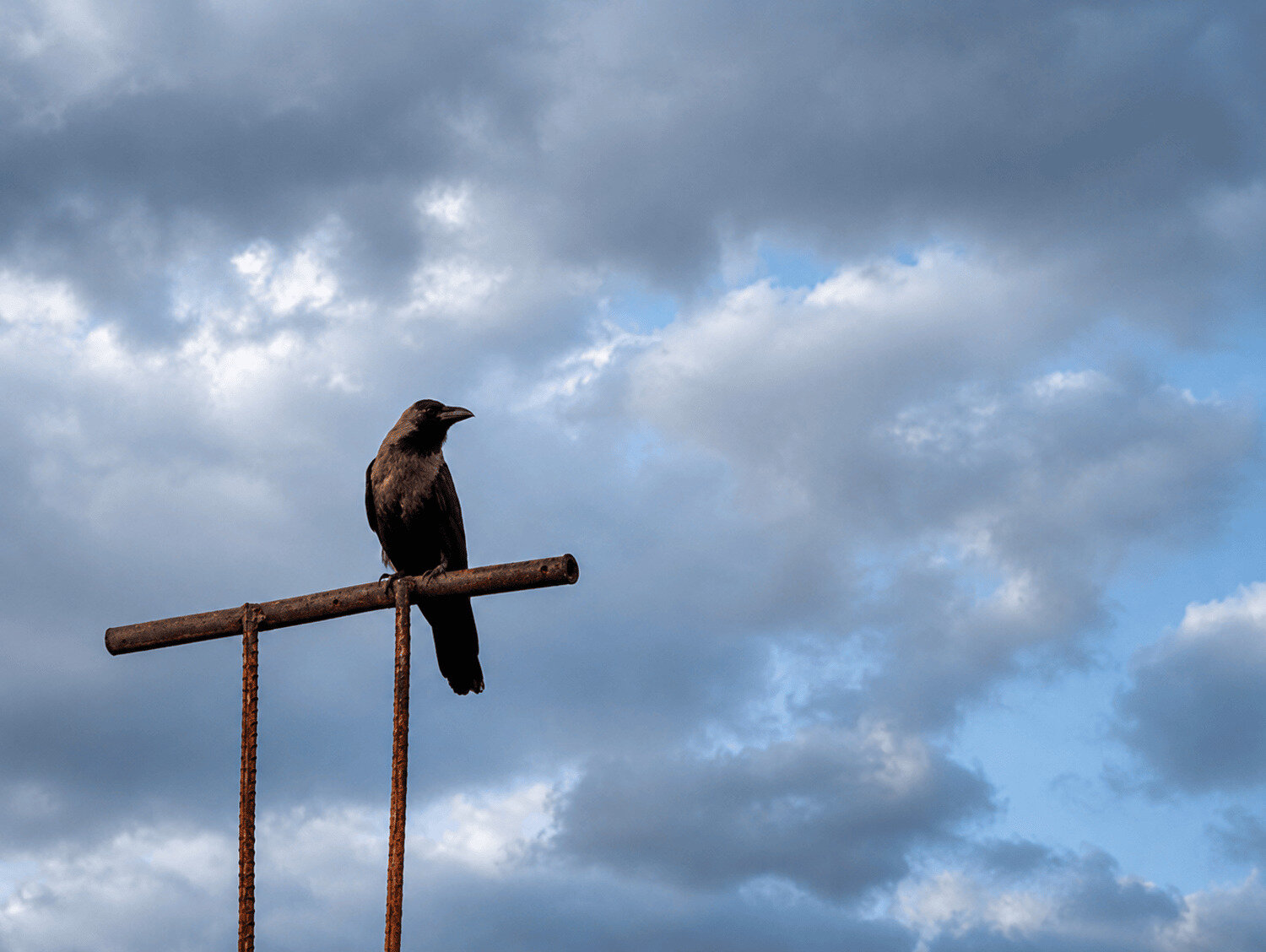 The Rust and the Raven