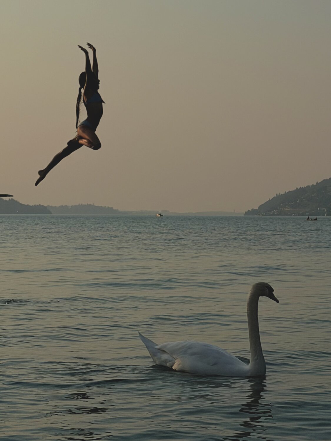 Photo #13896712
