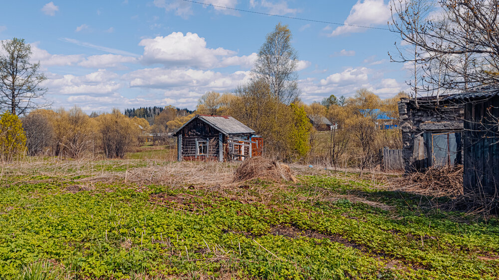 Photograph by Елена Захарова