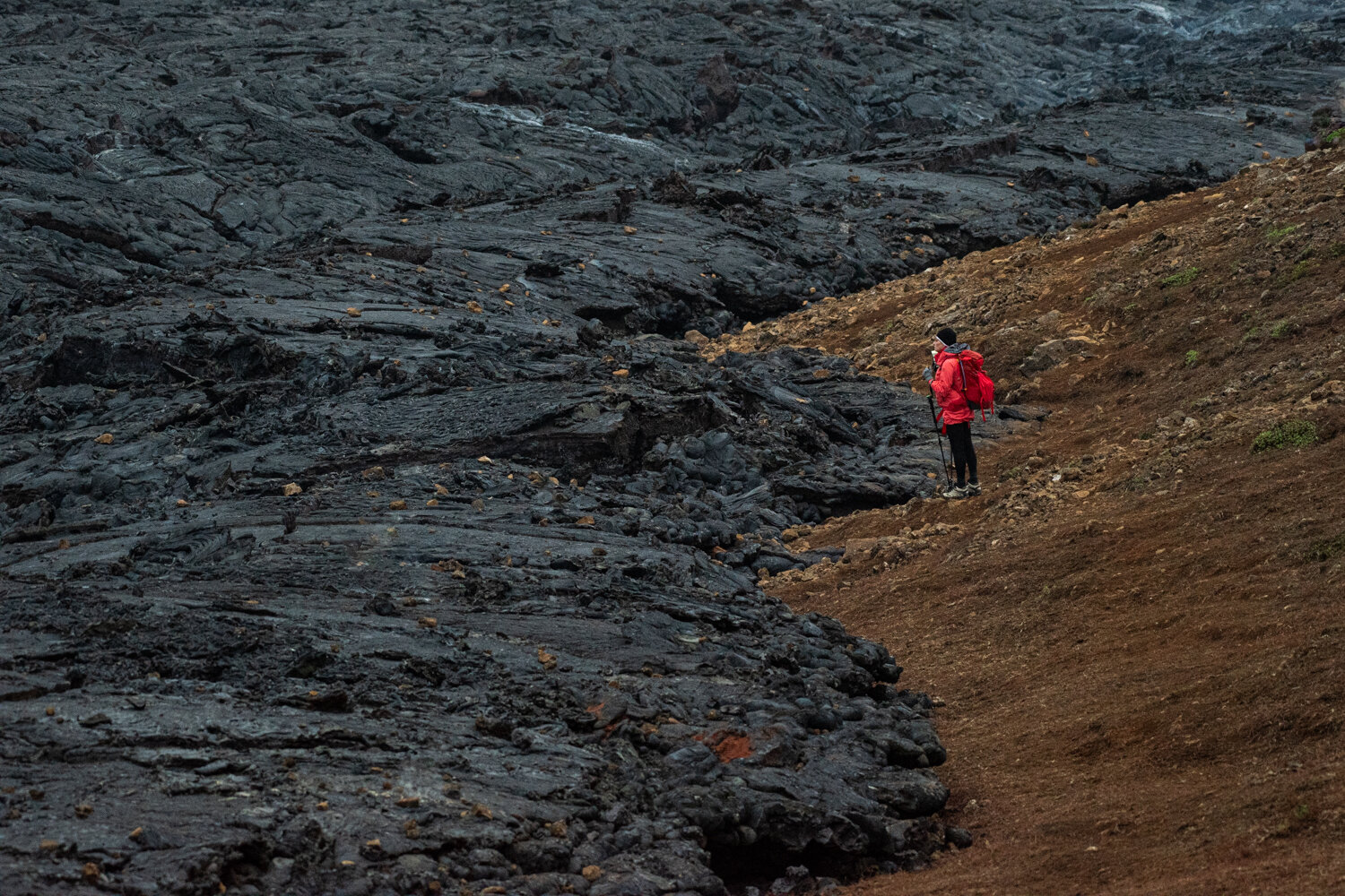 Photo #13896832